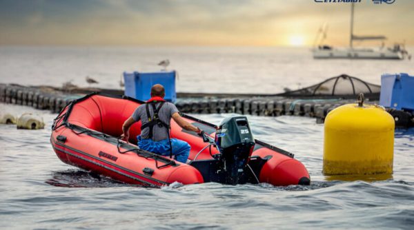 Η Mercury Marine παρουσιαζει τους ελαφρυτερους και ταχυτερους 3κυλινδρους κινητηρες της κατηγοριας 25 & 30 ίππων