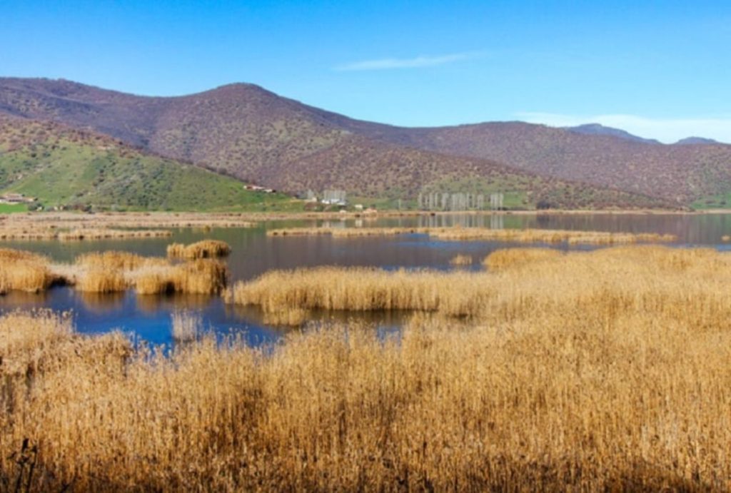 Αμύνταιο: Ανασύρθηκε νεκρός ο 55χρονος ερασιτέχνης ψαράς που έπεσε στη λίμνη Χειμαδίτιδα