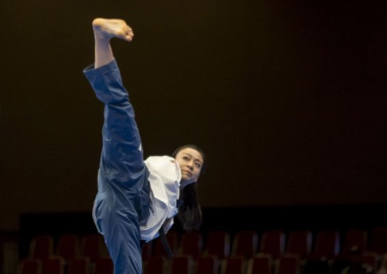 Προπονητής Poomsae της γερμανικής ομοσπονδίας ο Βάσμουθ