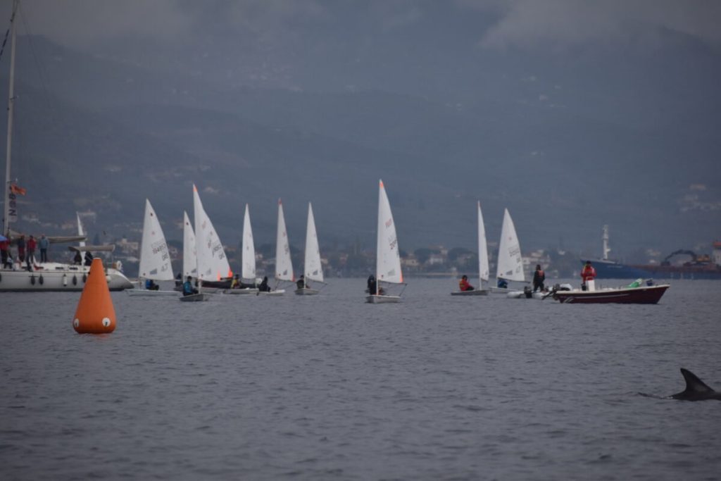 Παρέα με τα δελφίνια στο Περιφερειακό του Βόλου (pics)