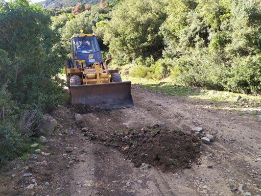 Πυρετώδεις οι ετοιμασίες για το Ράλι Λιβαδειάς