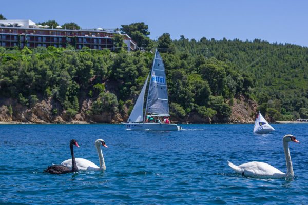 Skiathos Palace Cup για 6η χρονιά φέτος (pics & vid)