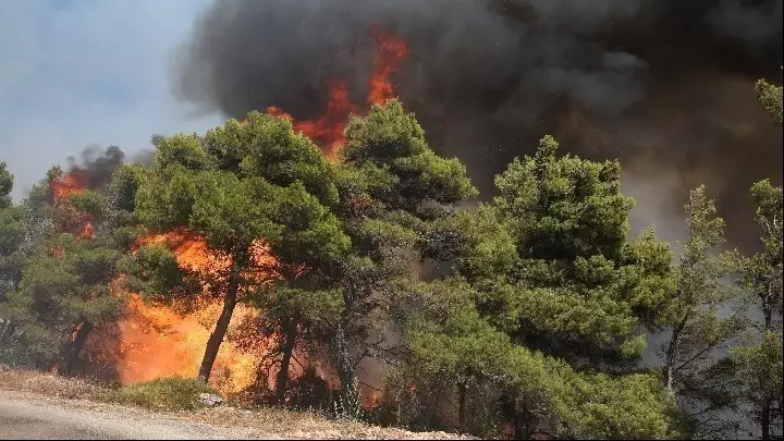 Πολύ υψηλός κίνδυνος πυρκαγιάς αύριο σε Αττική, Στερεά Ελλάδα, Πελοπόννησο, Κρήτη και Αιγαίο