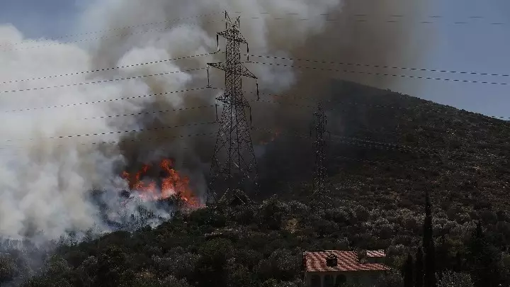 Πυροσβεστική: Μία προσαγωγή για την πυρκαγιά στον Κουβαρά – Καλύτερη εικόνα στα μέτωπα