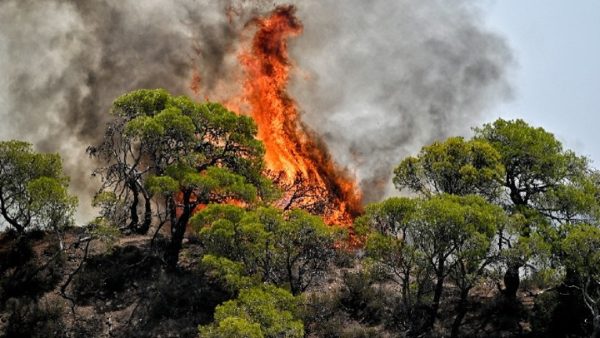 Αναζωπυρώσεις στη φωτιά στη Δυτική Αττική: Εκκενώνονται οι οικισμοί Αγία Σωτήρα, Παλαιοκούνδουρα, Πανόραμα και Παλαιοχώρι