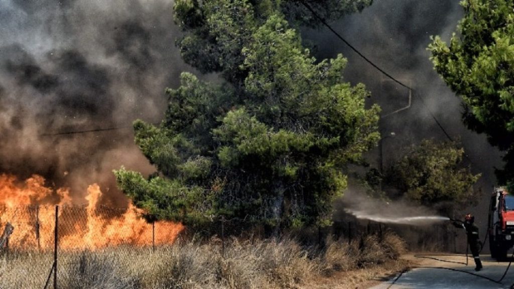 Θήβα: Πυρκαγιά σε δασική έκταση στην περιοχή Αγίας Τριάδας