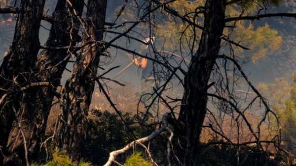 Σε εξέλιξη η μάχη για την κατάσβεση της φωτιάς στην Ρόδο