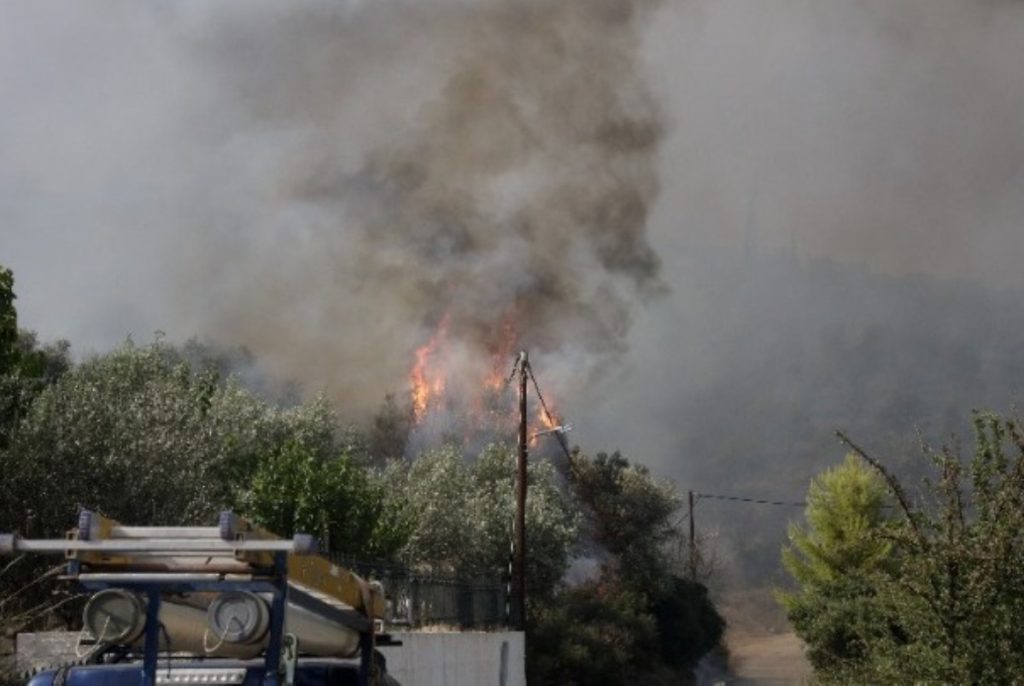 Άνδρας βρέθηκε νεκρός σε δασική έκταση στον Άγιο Γεώργιο Φερών της Μαγνησίας