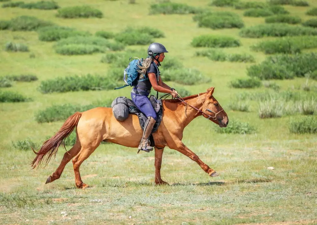 Mongol Derby 2023: Η περιπέτεια στα μισά του δρόμου (vid)