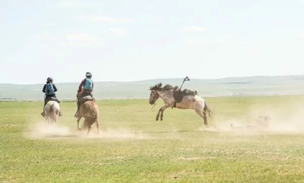 Mongol Derby 2023: Στο δρόμο προς τον τερματισμό (vid)