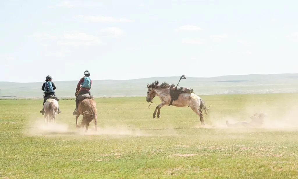 Mongol Derby 2023: Στο δρόμο προς τον τερματισμό (vid)