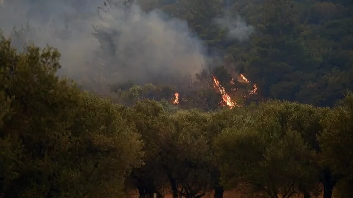 Δύσκολη παραμένει η κατάσταση στην Βοιωτία λόγω των πυρκαγιών, καθώς πνέουν ισχυροί άνεμοι