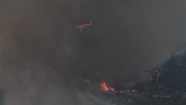 Στον Εθνικό Δρυμό η φωτιά στην Πάρνηθα