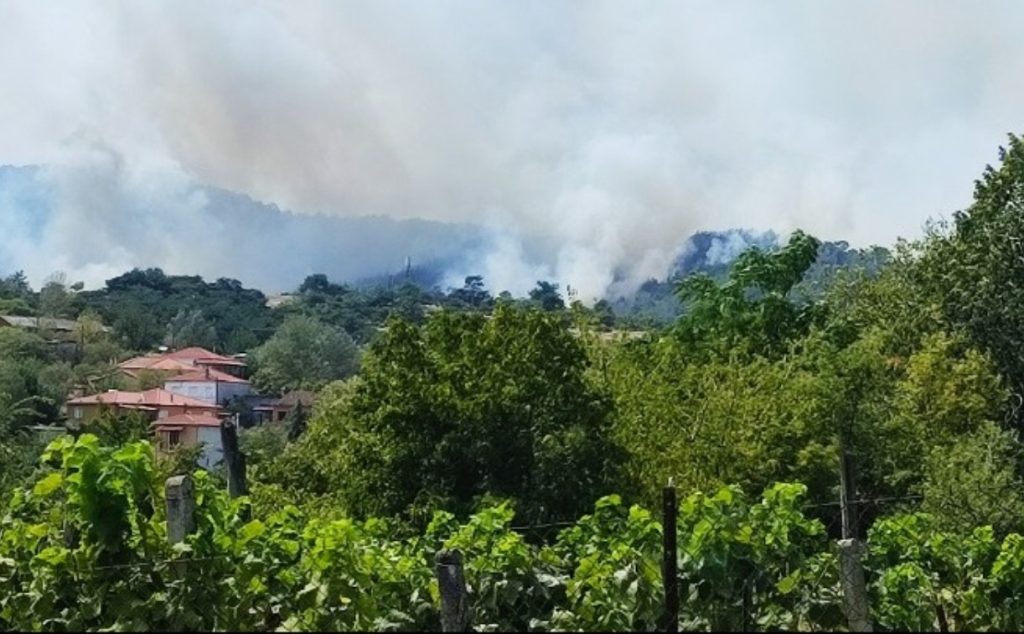 Έβρος: Οδοιπορικό στη Δαδιά