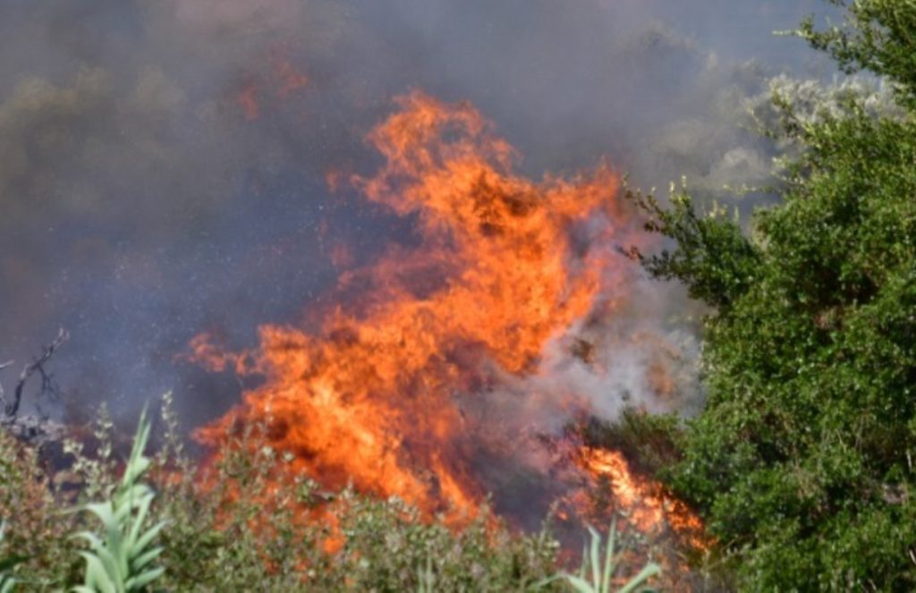 Αναζωπυρώσεις σε Έβρο και Ροδόπη – Συνολικά 74 πυρκαγιές σε όλη τη χώρα