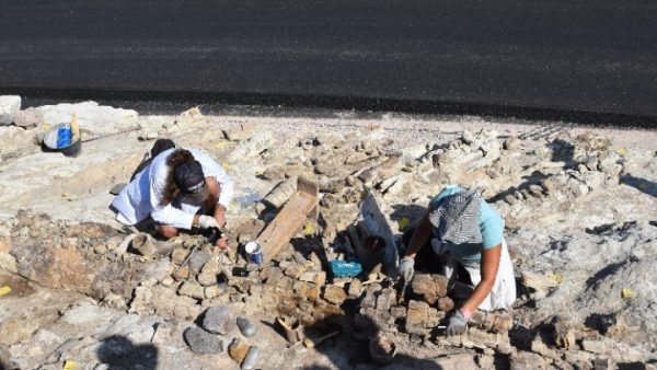 Σε λειτουργία το νέο ανοικτό υπαίθριο πάρκο απολιθωμάτων