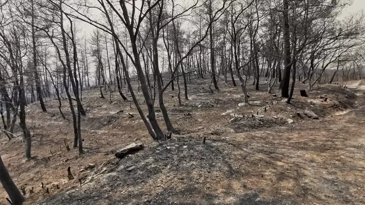 Η νεότερη χαρτογράφηση των καμένων εκτάσεων σε Έβρο και Πάρνηθα από το ΕπαΔαΠ