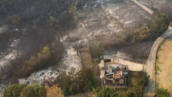 Το πλαίσιο της κρατικής αρωγής για τους πληγέντες από την πυρκαγιά στον Έβρο