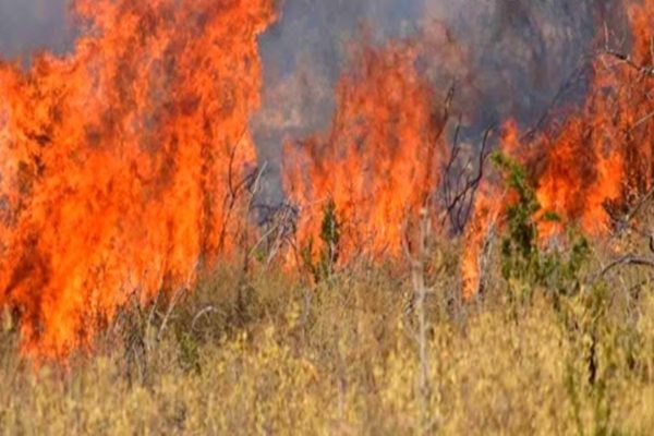 Σύλληψη για εμπρησμό από αμέλεια στον Λαχανά του δήμου Λαγκαδά