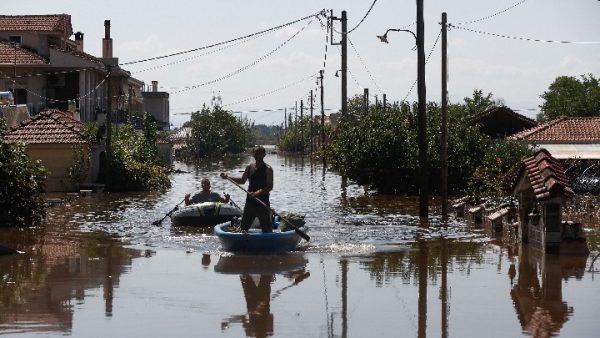 Αρκαδία μεταφέρονται τα νεκρά ζώα από τη Θεσσαλία