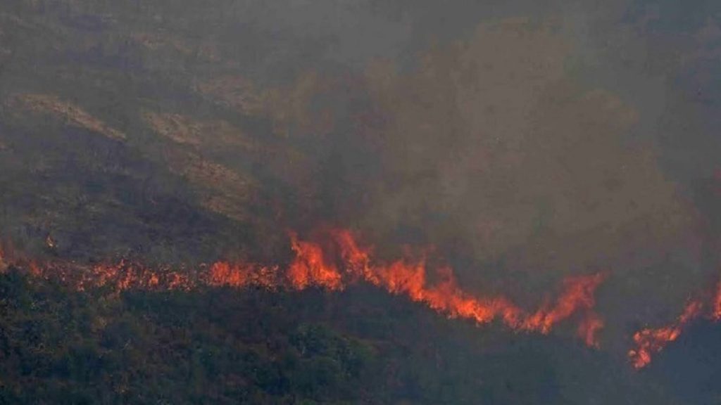 Σύλληψη για εμπρησμό από πρόθεση στα Τρίκαλα