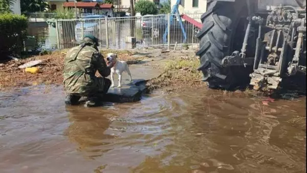 Στους 10 οι νεκροί, 4 οι αγνοούμενοι- Συναγερμός στη Λάρισα από τον Πηνειό-Εκκενώνονται περιοχές