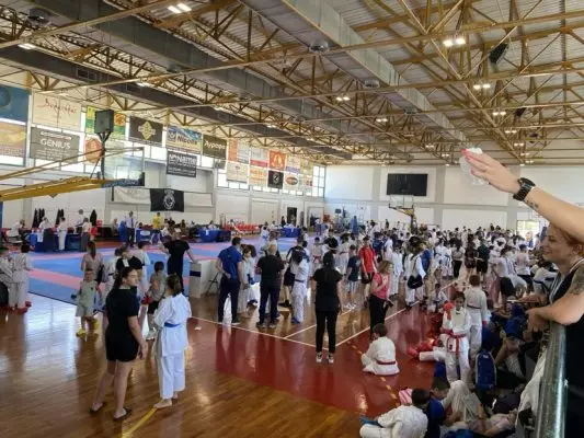 South Attica Karate Cup, αποτελέσματα συλλόγων